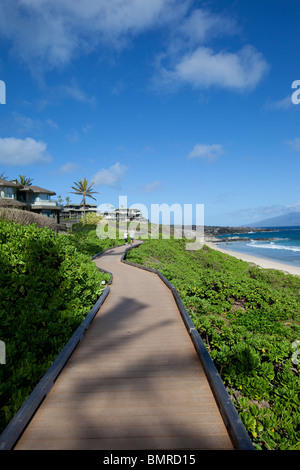 Oneloa Beach, Kapalua sentiero costiero, Kapalua, Maui, Hawaii Foto Stock