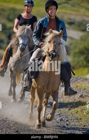 Equitazione nel sud dell'Islanda. Il canyon di Bruarhloo. Foto Stock