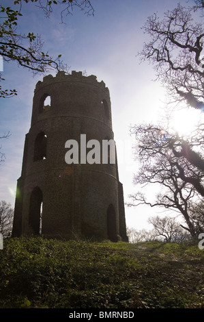 Conygar Tower - una follia che si affaccia sul villaggio di Dunster Foto Stock