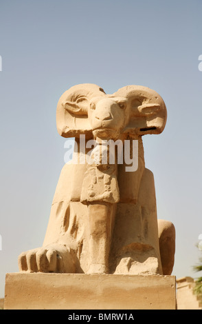 In prossimità di una delle statue di Ram nel viale di montoni; tempio di Karnak Luxor Egitto Foto Stock