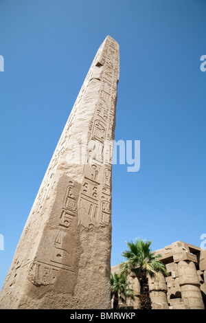 L'obelisco della femmina di faraone Regina Hatshepsut, nel tempio di Karnak Luxor Egitto Foto Stock