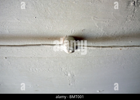 Frammento di esterni cablaggio elettrico in legno vecchio country house nella regione di Izhevsk, Repubblica Udmurt, Russia Foto Stock