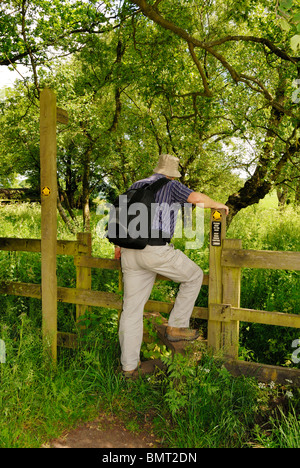 Walker arrampicarsi su un stile sul sentiero di pietra arenaria nel Cheshire. Foto Stock