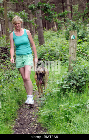 Donna con un pastore belga cane a camminare su un escursionisti Benvenuti sentiero nella campagna del Berkshire Foto Stock