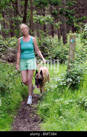 Donna con un pastore belga cane a camminare su un escursionisti Benvenuti sentiero nella campagna del Berkshire Foto Stock