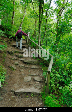 Walker su una sezione boschiva del sentiero di pietra arenaria nel Cheshire. Foto Stock