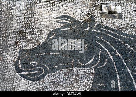 Dettaglio della testa del cavallo da un pavimento a mosaico di Ostia Antica, il porto Mediterraneo di Roma antica Foto Stock