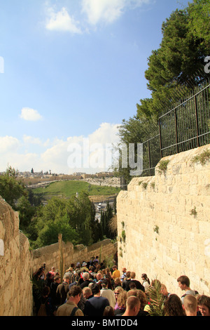 Israele, Gerusalemme, Pasqua, Domenica delle Palme processione sul Monte degli Ulivi Foto Stock