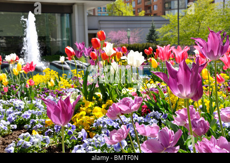 Flower Garden, Salt Lake City, Utah, Stati Uniti d'America Foto Stock