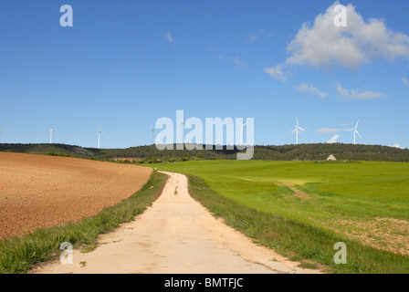 Vista con pista oltre i campi di grano per aerogeneratori all'orizzonte, vicino Huete, Provincia Cuenca, Castilla la Mancha, in Spagna Foto Stock