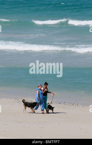 Le donne a piedi i loro cani sul bordo delle acque Sunrise Beach Città del Capo Sud Africa Foto Stock