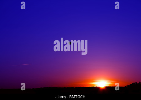 Tramonto sulla foresta. Volare un palloncino e di aeromobili. Foto Stock