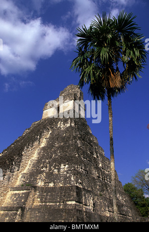 Alba sulle rovine maya di tempio che io, tempio del Grand Jaguar, nella grande Plaza- Tikal, Guatemala Foto Stock