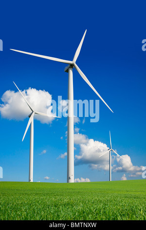 Turbina eolica IN UN CAMPO Foto Stock