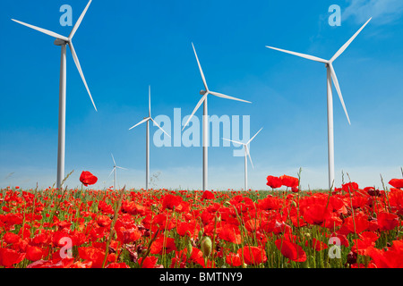 Turbina eolica IN UN CAMPO DI SEMI DI PAPAVERO Foto Stock