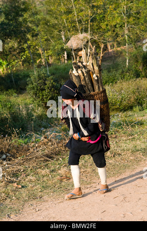 Un Lanten Yao donna trasportare il legno per la sua casa nel suo villaggio. Foto Stock