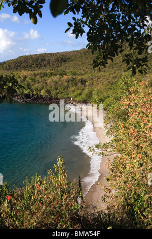 Caraibi, St Lucia, Anse Cochon Beach Foto Stock