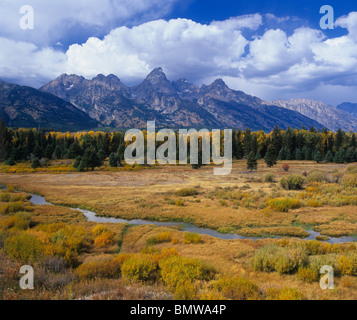 Il Parco Nazionale del Grand Teton, WY: flusso scorre attraverso un prato erboso a Blacktail stagni Foto Stock