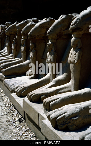 Ram-guidato sfingi di Tempio di Karnak a Luxor. Foto Stock