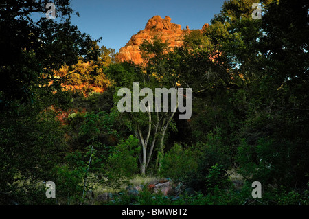 Tramonto a Sedona, AZ. Foto Stock