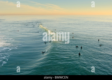 Grande gruppo di surfers riuniti in Surf City, Stati Uniti d'America a Huntington Beach, California. Foto Stock