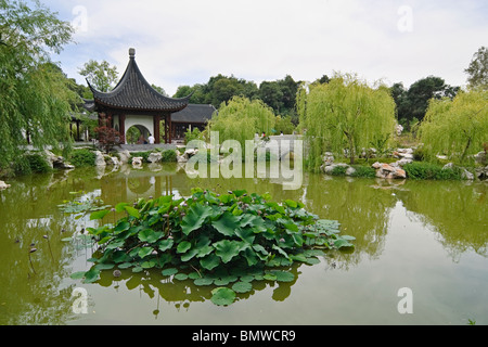 Giardino Cinese con Pagoda e il lago. Foto Stock