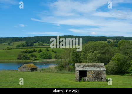 La stalla e il boathouse, Esthwaite acqua, Parco Nazionale del Distretto dei Laghi, Cumbria, England Regno Unito Foto Stock