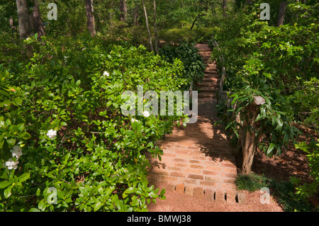 Texas Houston, il Bayou Bend Raccolta e giardini, station wagon di Miss Ima Hogg, Bianco Garden Foto Stock