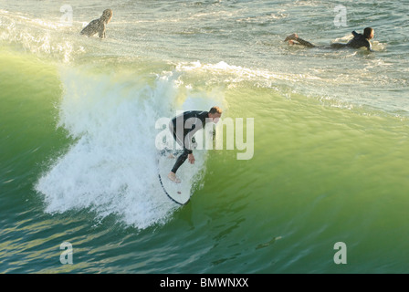 Grande gruppo di surfers riuniti in Surf City, Stati Uniti d'America a Huntington Beach, California. Foto Stock