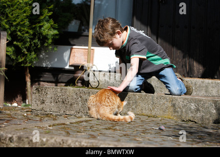 Il gatto domestico, il gatto di casa, European Shorthair (Felis silvestris f. catus), Little Boy è delineare un rosso tomcat, Germania Foto Stock