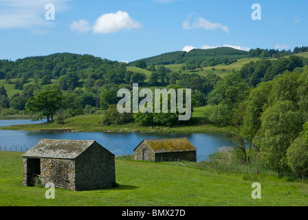 La stalla e il boathouse, Esthwaite acqua, Parco Nazionale del Distretto dei Laghi, Cumbria, England Regno Unito Foto Stock