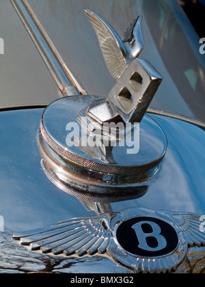 Vista ravvicinata di vintage Bentley Flying B con chrome ali design sul cofano per auto Foto Stock