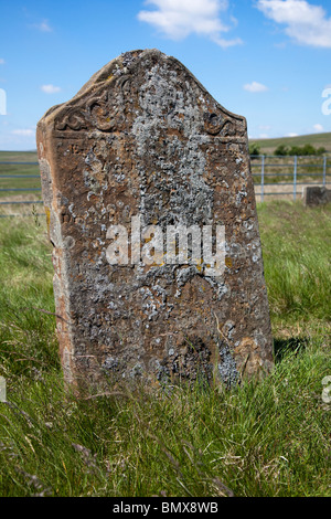Il Lichen coperti di pietre tombali dal 1833 epidemia di colera Cefn Golau cimitero del colera Tredegar Wales UK Foto Stock