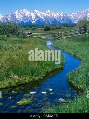 Il Parco Nazionale del Grand Teton, WY verde erbe frontiera un piccolo ruscello che scorre nella Snake River Valley sotto la gamma Teton Foto Stock