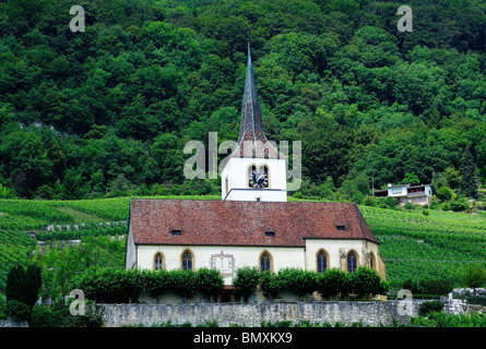 La chiesa a Ligerz, Svizzera, sulle rive del Lac de Bienne (Bielersee), tra i vigneti Foto Stock