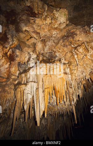 Stalattiti a Ngilgi grotta, un calcare grotta carsica sistema scoperto da Edward Dawson nel 1899 nei pressi di Yallingup, Australia occidentale Foto Stock