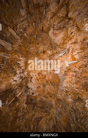 Guardando verso l'alto a stalattiti sul soffitto della grotta Ngilgi, calcare a grotta carsica vicino sistema Yallingup, Australia occidentale Foto Stock