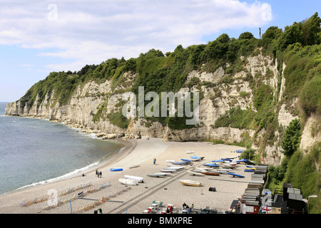 Il Cove e la spiaggia di ciottoli di birra in Devon England Foto Stock