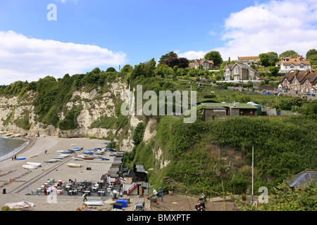 Il Cove e la spiaggia di ciottoli di birra in Devon England Foto Stock