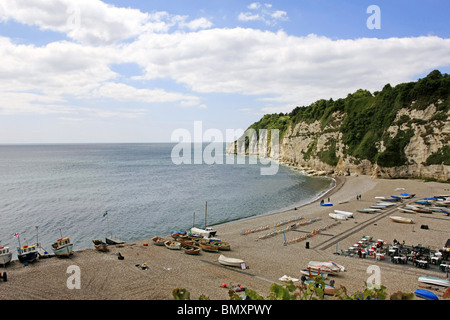 Il Cove e la spiaggia di ciottoli di birra in Devon England Foto Stock