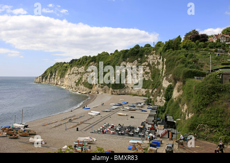 Il Cove e la spiaggia di ciottoli di birra in Devon England Foto Stock