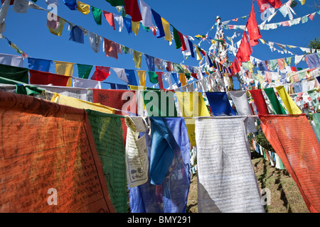 Preghiera tibetano bandiere. McLeod Ganj (governo tibetano in esilio). Dharamsala. India Foto Stock