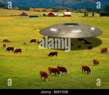 Gli stranieri sotto sbarcati Flying Saucer rapire bovini Foto Stock