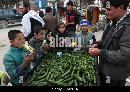 Venditore di cetriolo a Kabul, Afghanistan Foto Stock