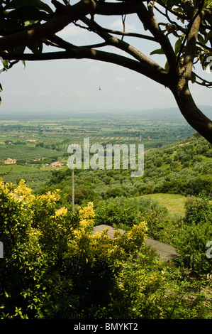 Vista da Castagneto Carducci, Toscana, Italia Foto Stock