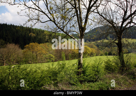 Valle del fiume Dee visto da un treno su Dee Valley Steam Railway Foto Stock