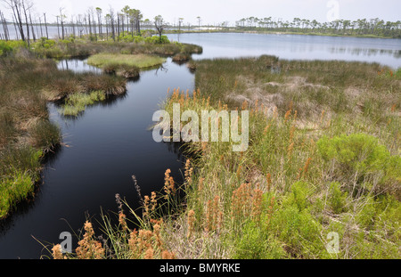 Bon Secour National Wildlife Refuge in Gulf Shores, Alabama Foto Stock