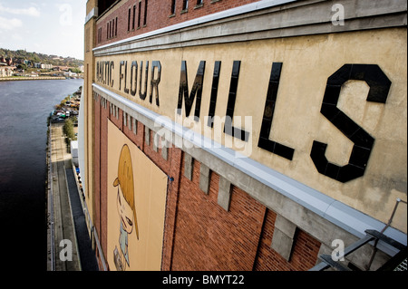 Primo piano dell'esterno del centro Baltico per l'arte moderna contemporanea a Gateshead, ex Baltic Flour Mills. Foto Stock