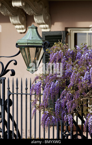 Lampada a gas, cancellata in ferro battuto e Wysteria davanti casa su East Bay Street a Charleston, Carolina del Sud Foto Stock