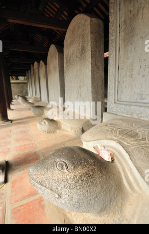 Stele di pietra su tartarughe, Tempio della Letteratura, Van Mieu, Hanoi, Vietnam Foto Stock